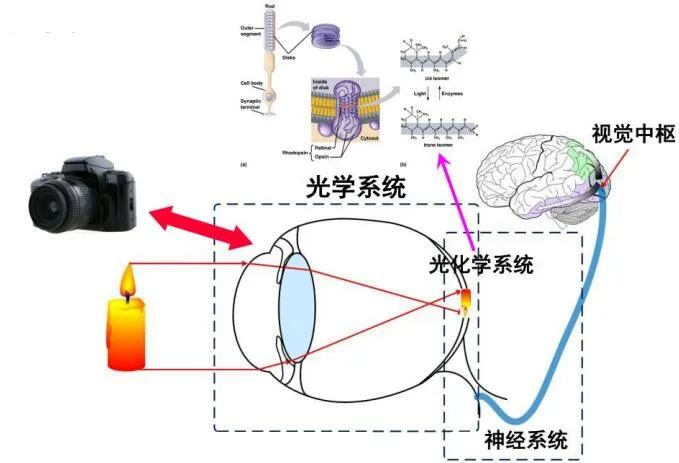 电子光学仪器原理