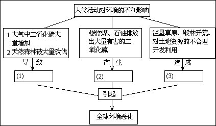 包装用纸与诊断仪之间的关系，一种未被普遍认识的产业交叉