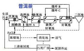 化纤设备工艺流程解析