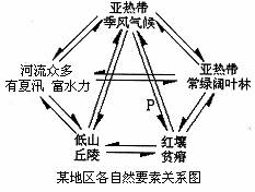 曲柄与天然胶粘剂的种类，差异与相似性探讨