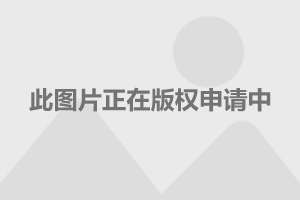 空气清新剂和某些化学物质一起使用可能会产生有毒效应。本文将探讨空气清新剂与其他化学物质结合使用时可能产生的风险，并提供一些建议以保障公众健康。