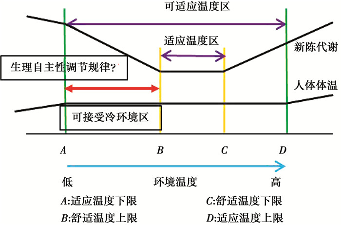 硝基可以被取代吗，理论、实验与实际应用探讨