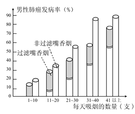 水分对系统的影响，深入解析其重要性及多方面效应